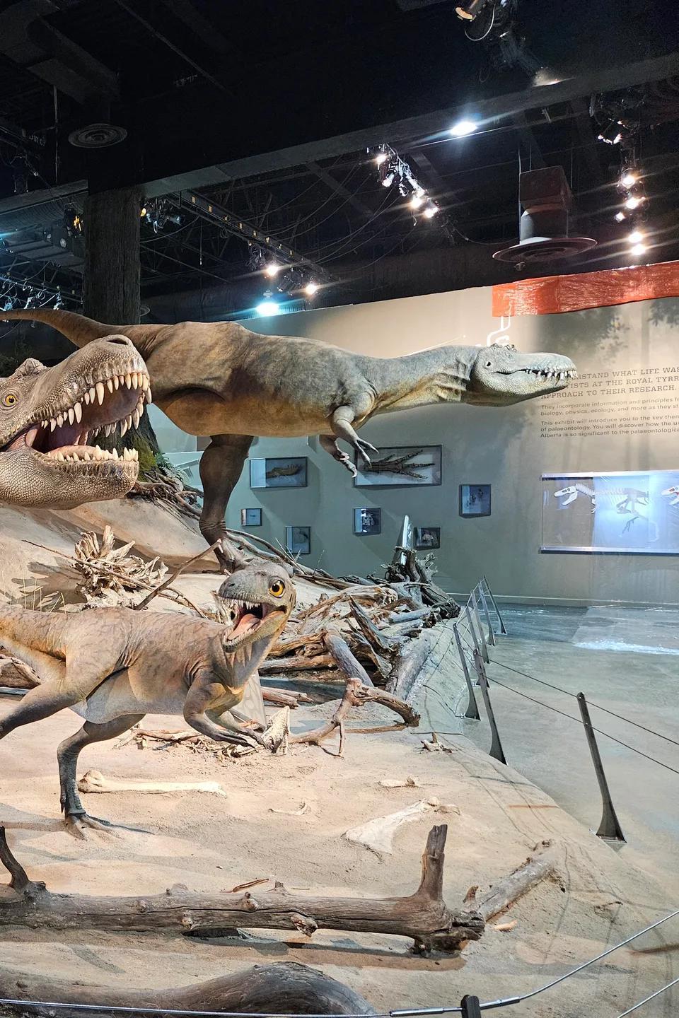 Museums