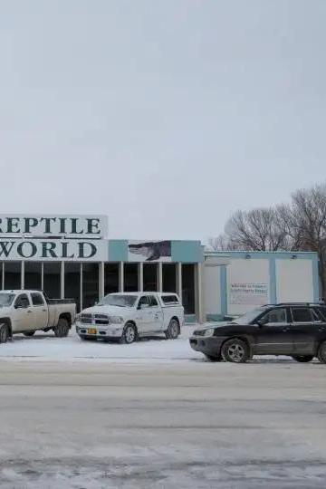 Drumheller Reptile World